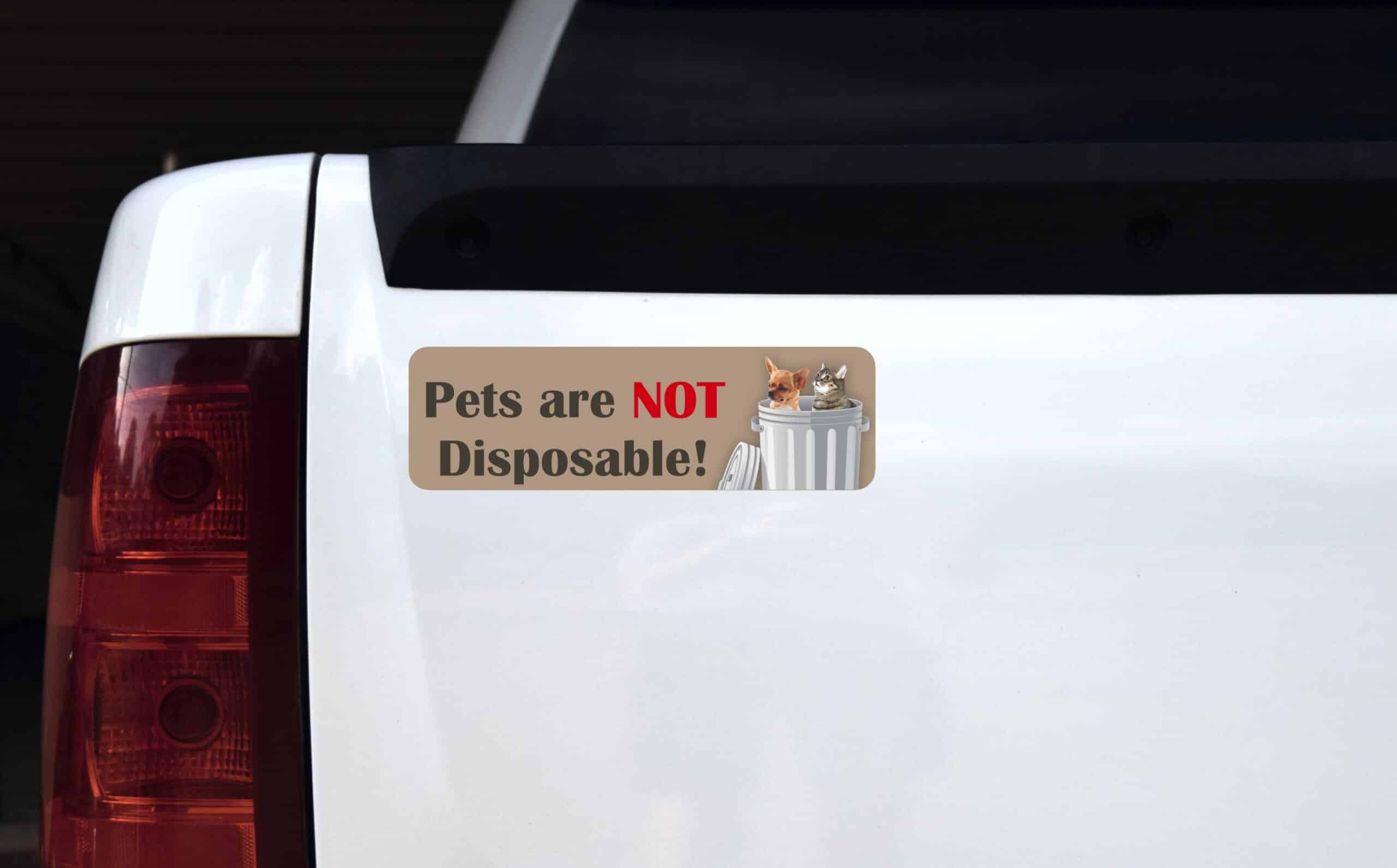 10in x 3in Pets Are Not Disposable Magnet