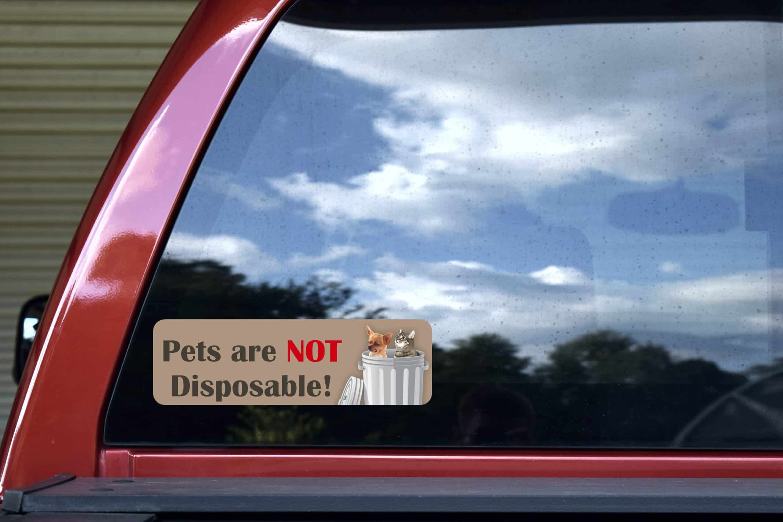 10in x 3in Pets Are Not Disposable Sticker