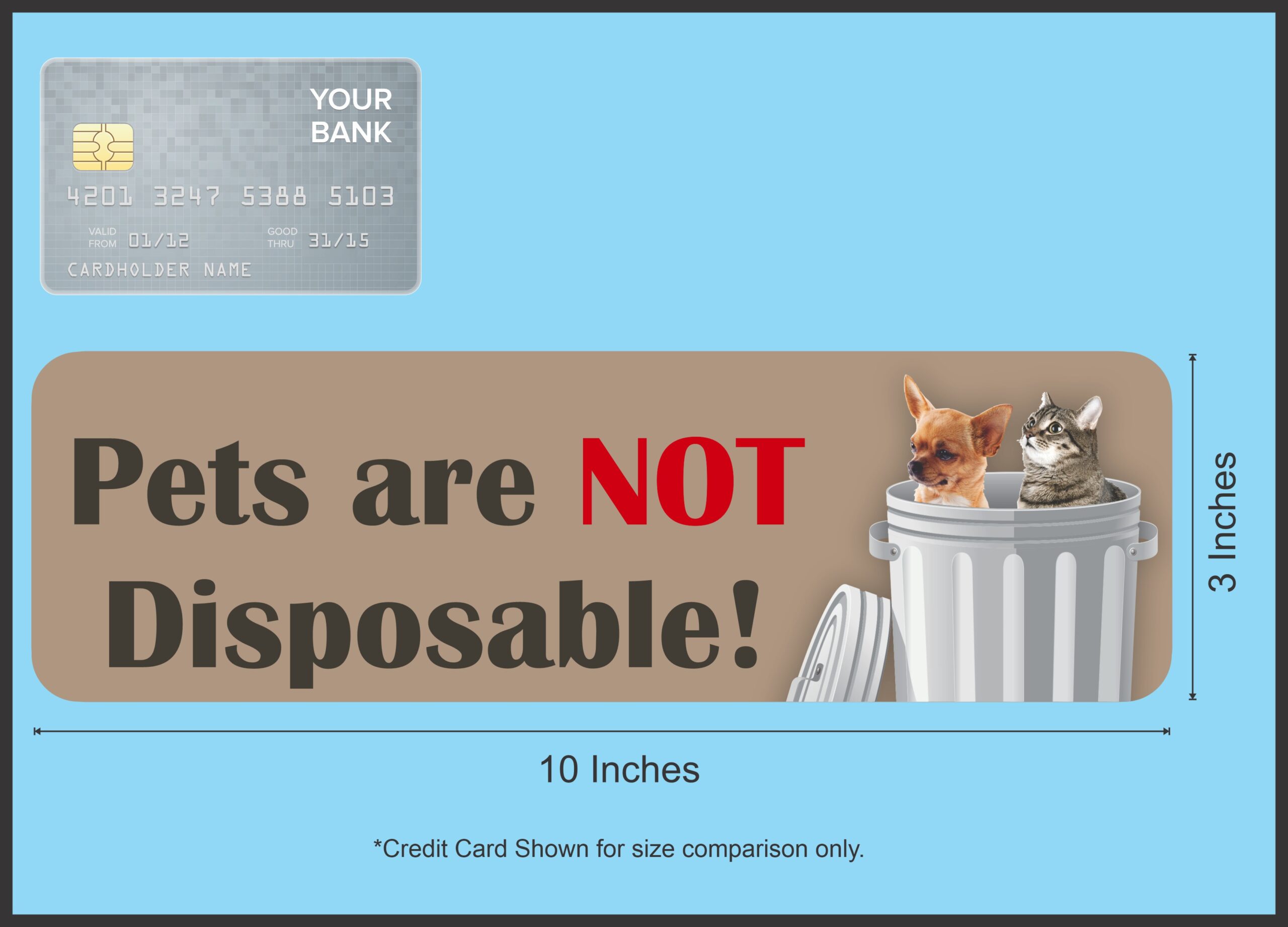 10in x 3in Pets Are Not Disposable Magnet