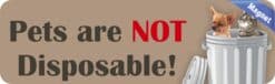 10in x 3in Pets Are Not Disposable Magnet