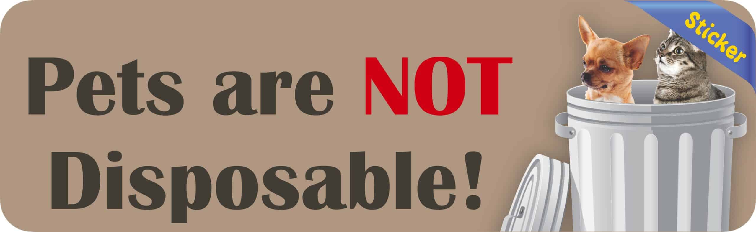 10in x 3in Pets Are Not Disposable Sticker