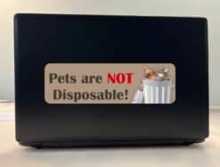10in x 3in Pets Are Not Disposable Sticker