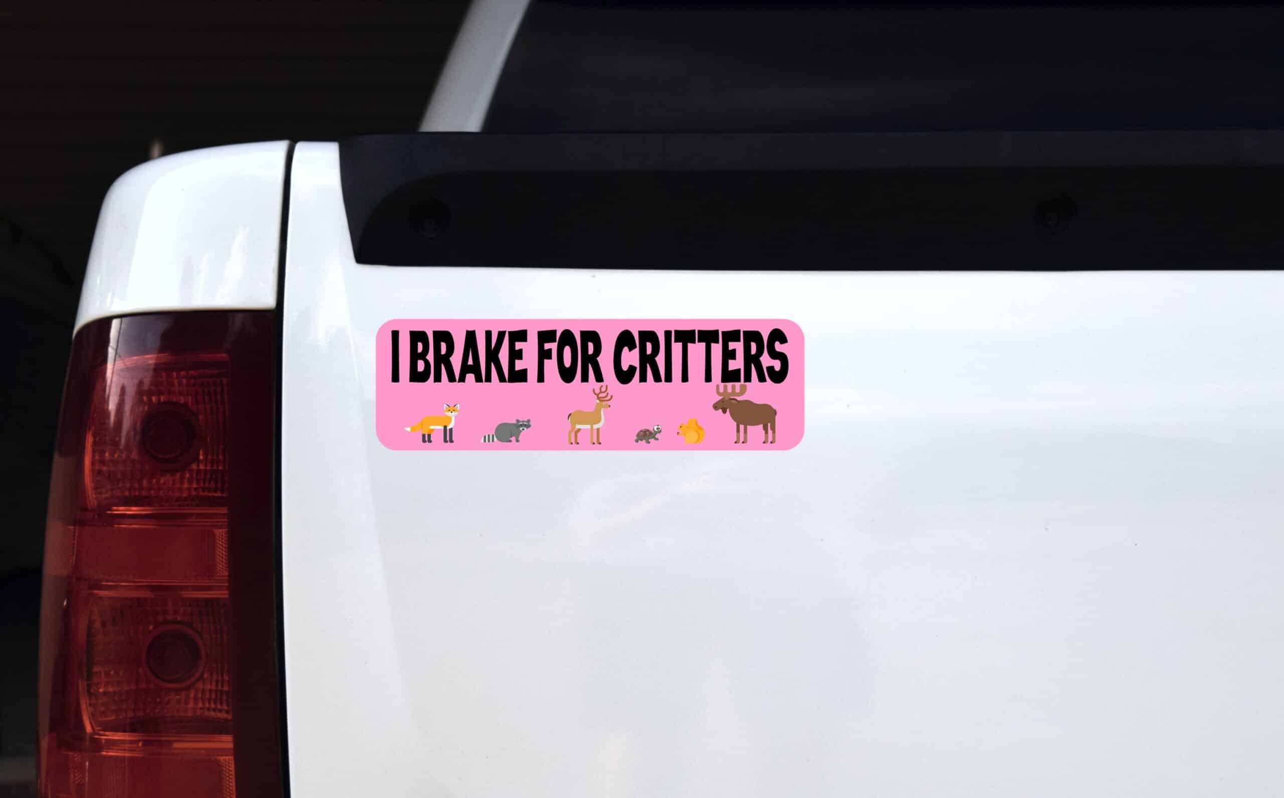 10 inch x 3 inch I Brake for Critters Sticker