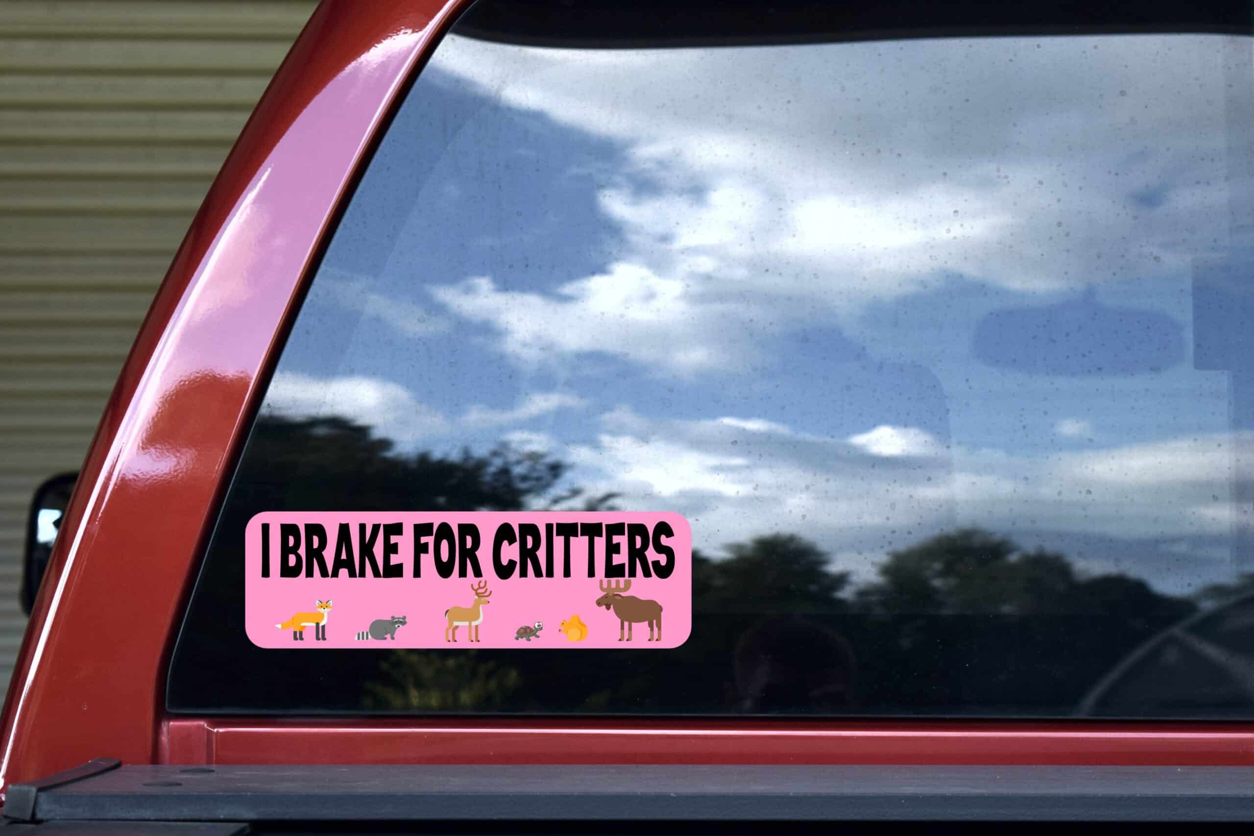 10 inch x 3 inch I Brake for Critters Sticker