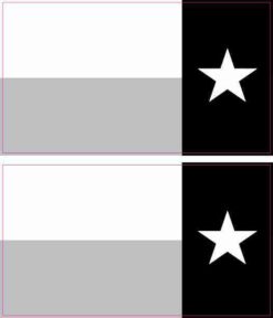 Mirrored Black and White Texas Flag Magnets