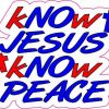 Patriotic Know Jesus Know Peace Sticker