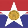 Dallas Texas Flag Magnet