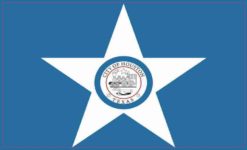 Houston Texas Flag Magnet