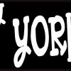 I Love My Yorkipoo Bumper Sticker