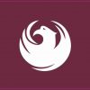 Phoenix Arizona Flag Sticker