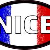 Oval French Flag Nice Sticker