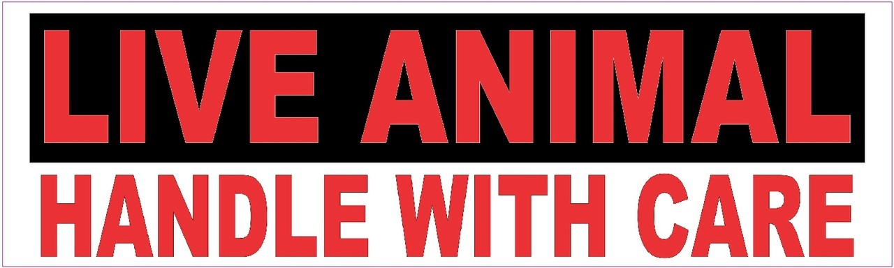 Live Animal Magnet