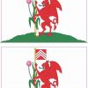 Cardiff Flag Magnets