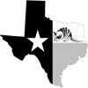 Black and White Armadillo Texas Sticker