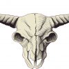 Buffalo Skull Sticker
