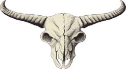 Buffalo Skull Sticker