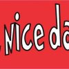 Skull Have a Nice Day Bumper Sticker