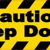 Caution Step Down Sticker