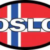 Oval Norwegian Flag Oslo Sticker