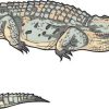 Die Cut Alligator Sticker