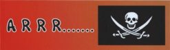 Arrr... Pirate Magnet