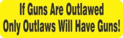 If Guns Are Outlawed Magnet