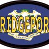 Oval Connecticut Flag Bridgeport Sticker