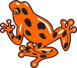 Poison Dart Frog sticker