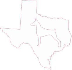 White Texas Doberman Sticker