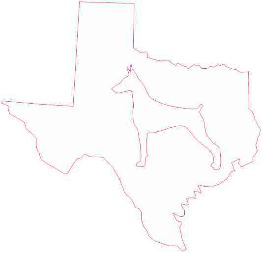 White Texas Doberman Sticker