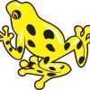 Yellow Poison Dart Frog Sticker