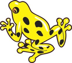 Yellow Poison Dart Frog Sticker