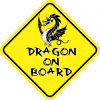 Dragon On Board Magnet