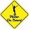Skater On Board Sticker