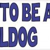 Blue Proud To Be A Bulldog Bumper Sticker
