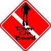 Diver On Board Magnet
