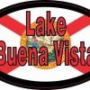 Oval Florida Flag Lake Buena Vista Sticker