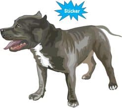 Alternative view of 5in x 4in Blue Pitbull Sticker