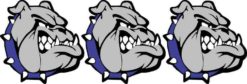 Right Facing Blue Collared Bulldog Stickers