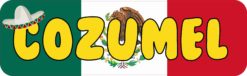 Cozumel Bumper Sticker