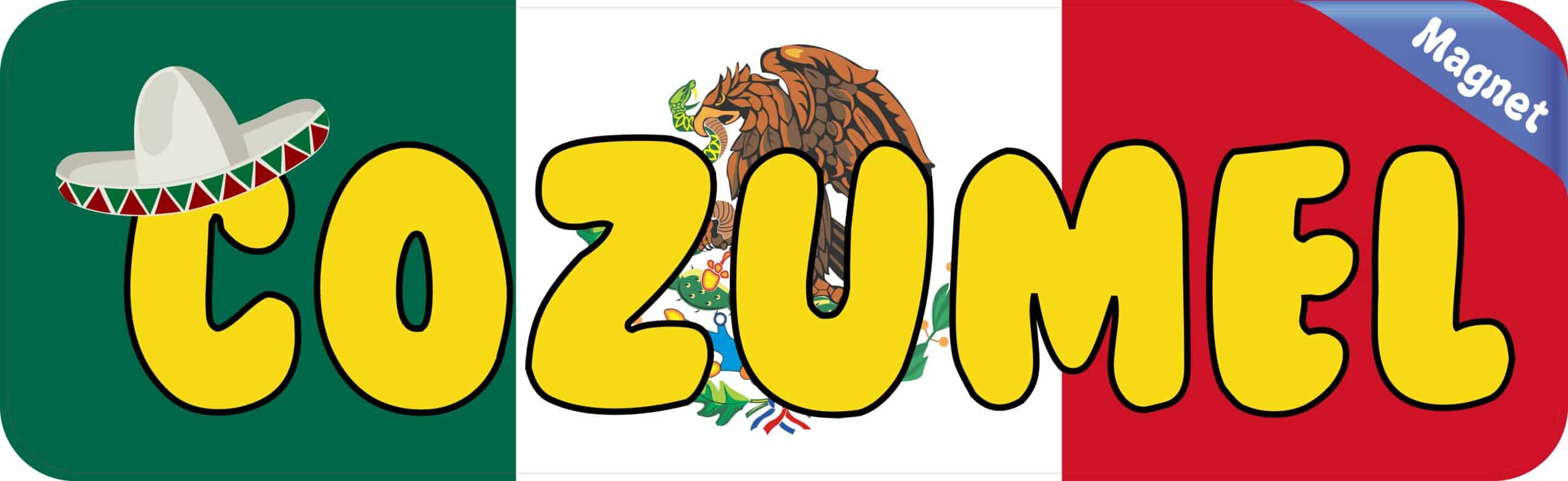 10in x 3in Cozumel Magnet