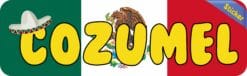 10in x 3in Cozumel Bumper Sticker