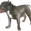 Blue Pitbull Sticker
