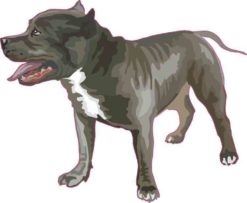 Blue Pitbull Sticker