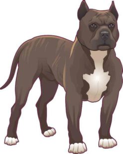 Brown Blonde Pitbull Sticker