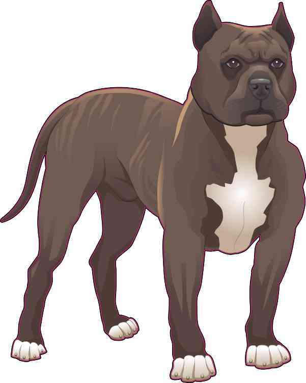 Brown Blonde Pitbull Sticker