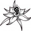 White Flower Sticker