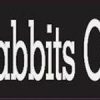 Rabbits On Board Bumper Sticker