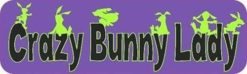 Purple Crazy Bunny Lady Bumper Sticker