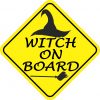 Witch On Board Magnet